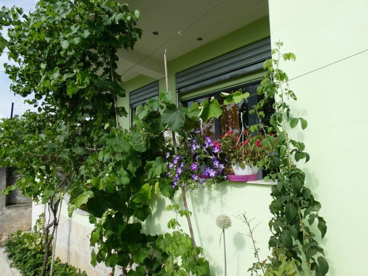 Guesthouse Aleksander بيرات المظهر الخارجي الصورة